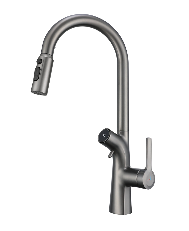 HS-D545